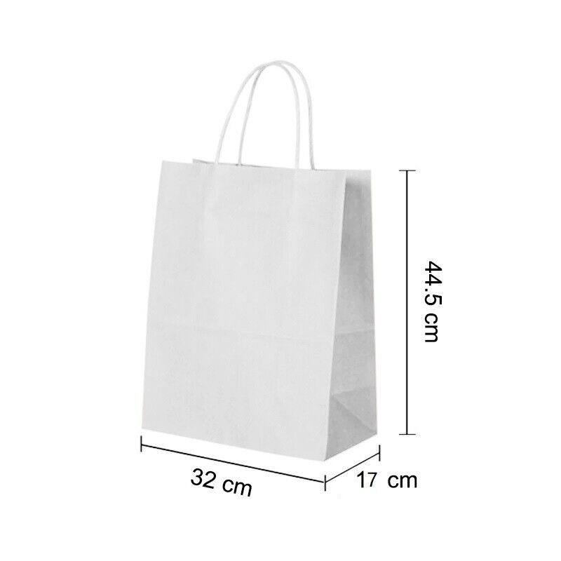 Kraft Paper Gift Party Carrier Bags With Twisted Handles White Color - All Sizes