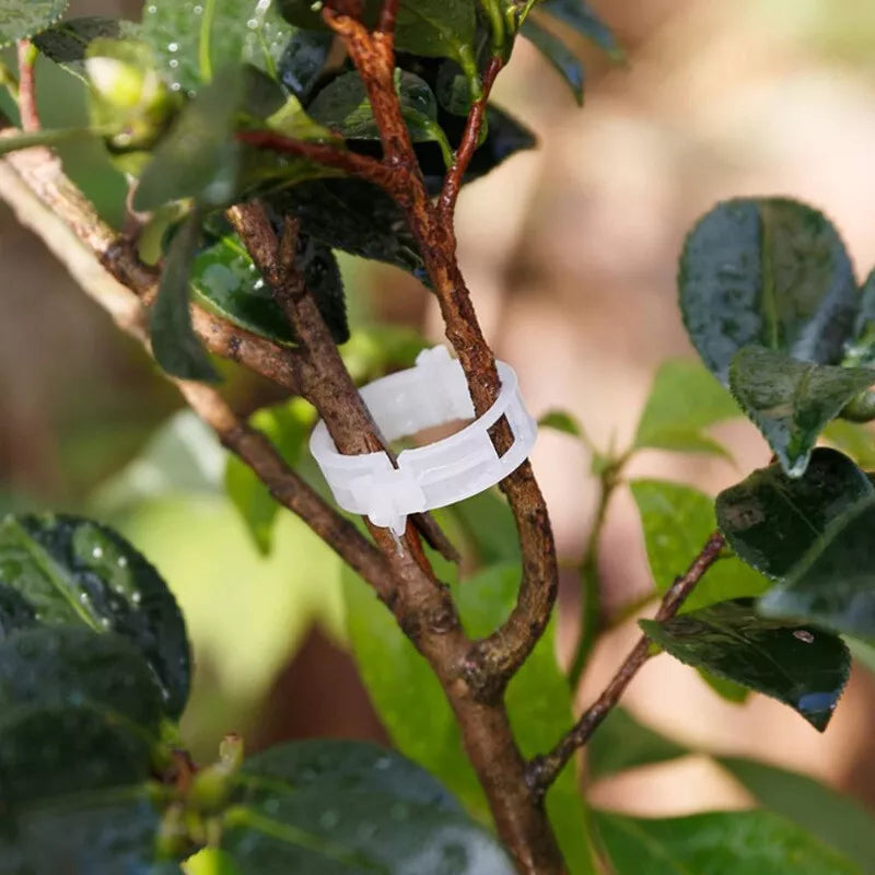 Tomato And Veggie Garden Plant Support Clips For Trellis Twine Greenhouse