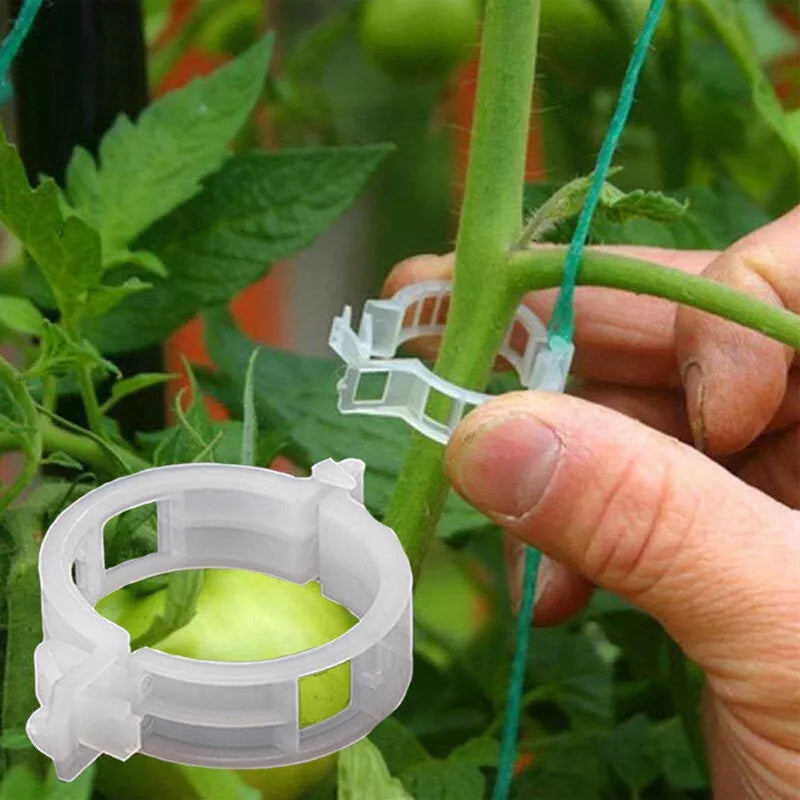 Tomato And Veggie Garden Plant Support Clips For Trellis Twine Greenhouse