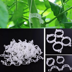 Tomato And Veggie Garden Plant Support Clips For Trellis Twine Greenhouse