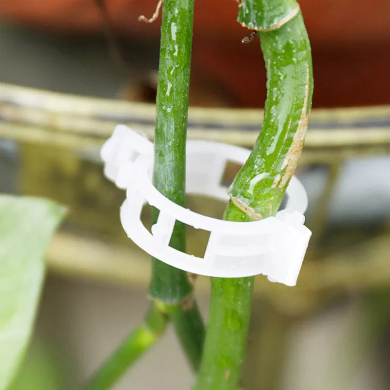 Tomato And Veggie Garden Plant Support Clips For Trellis Twine Greenhouse